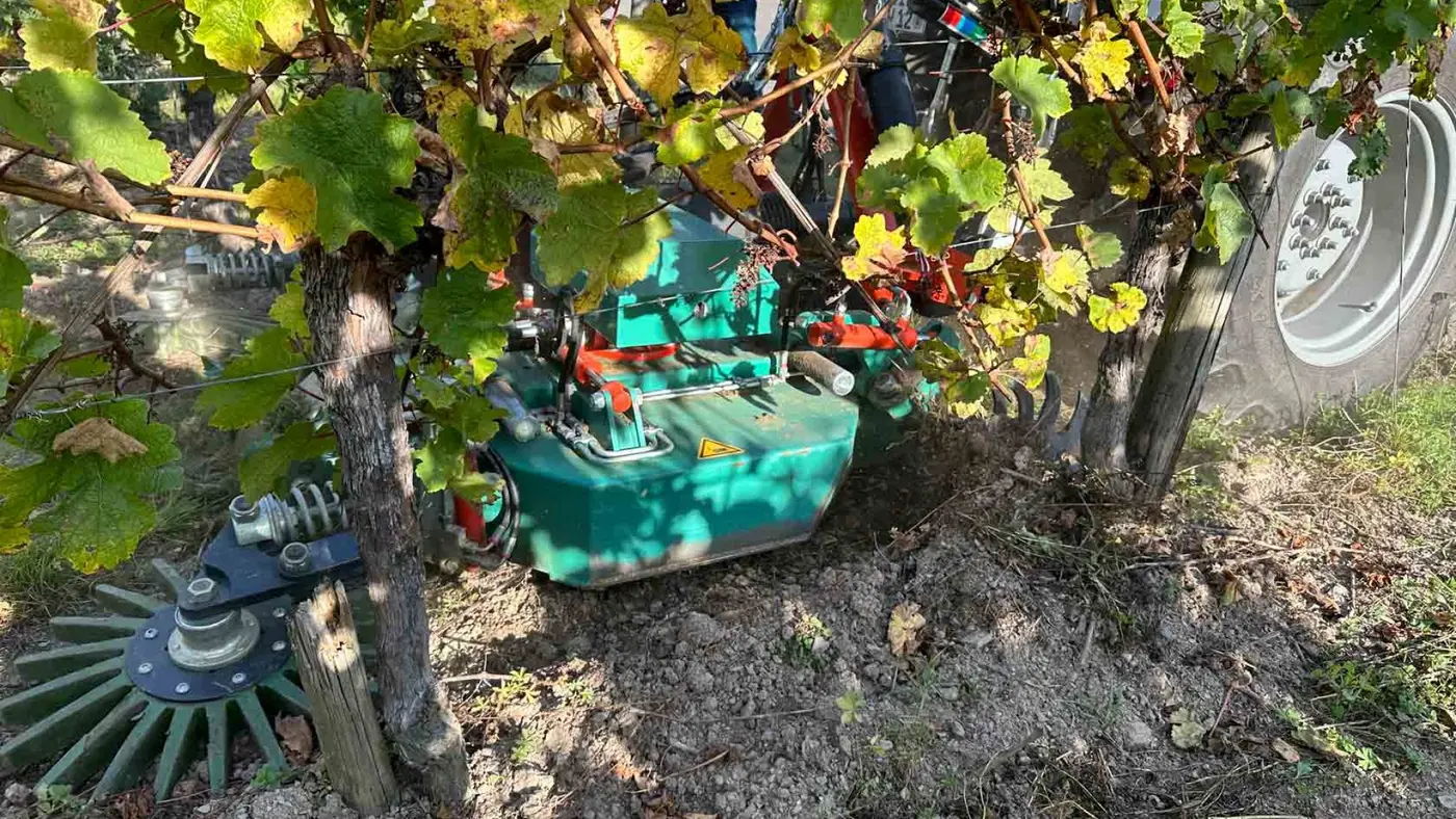 Broyeuse utilisée pour l’entretien des inter-rangs de vigne
