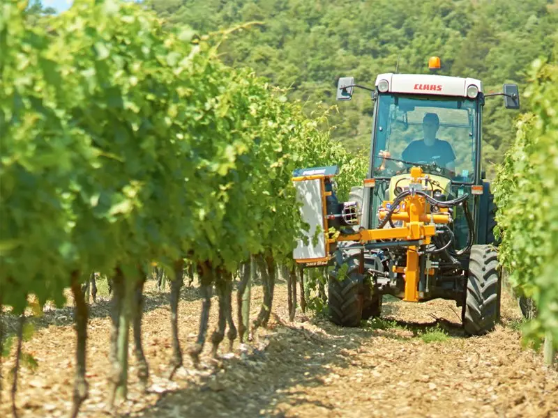Effeuilleuse Pellenc Soft Touch dans une vigne