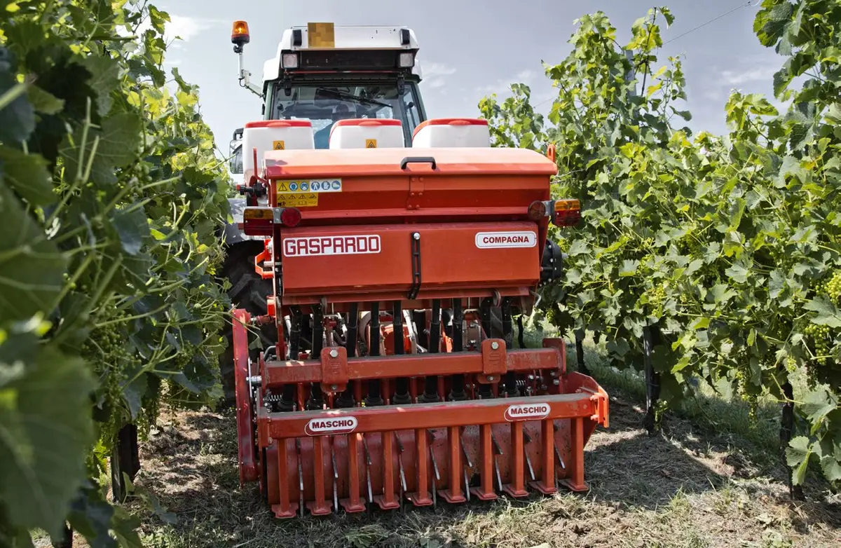 Semoir Maschio Gaspardo COMPAGNA en travail dans une vigne